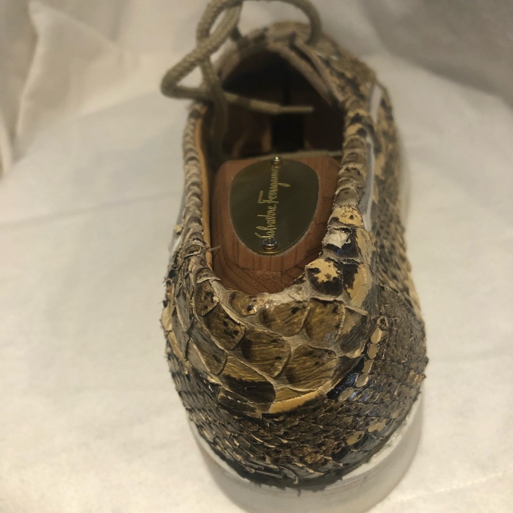 Python Top Snakers - Picture 3 of 4